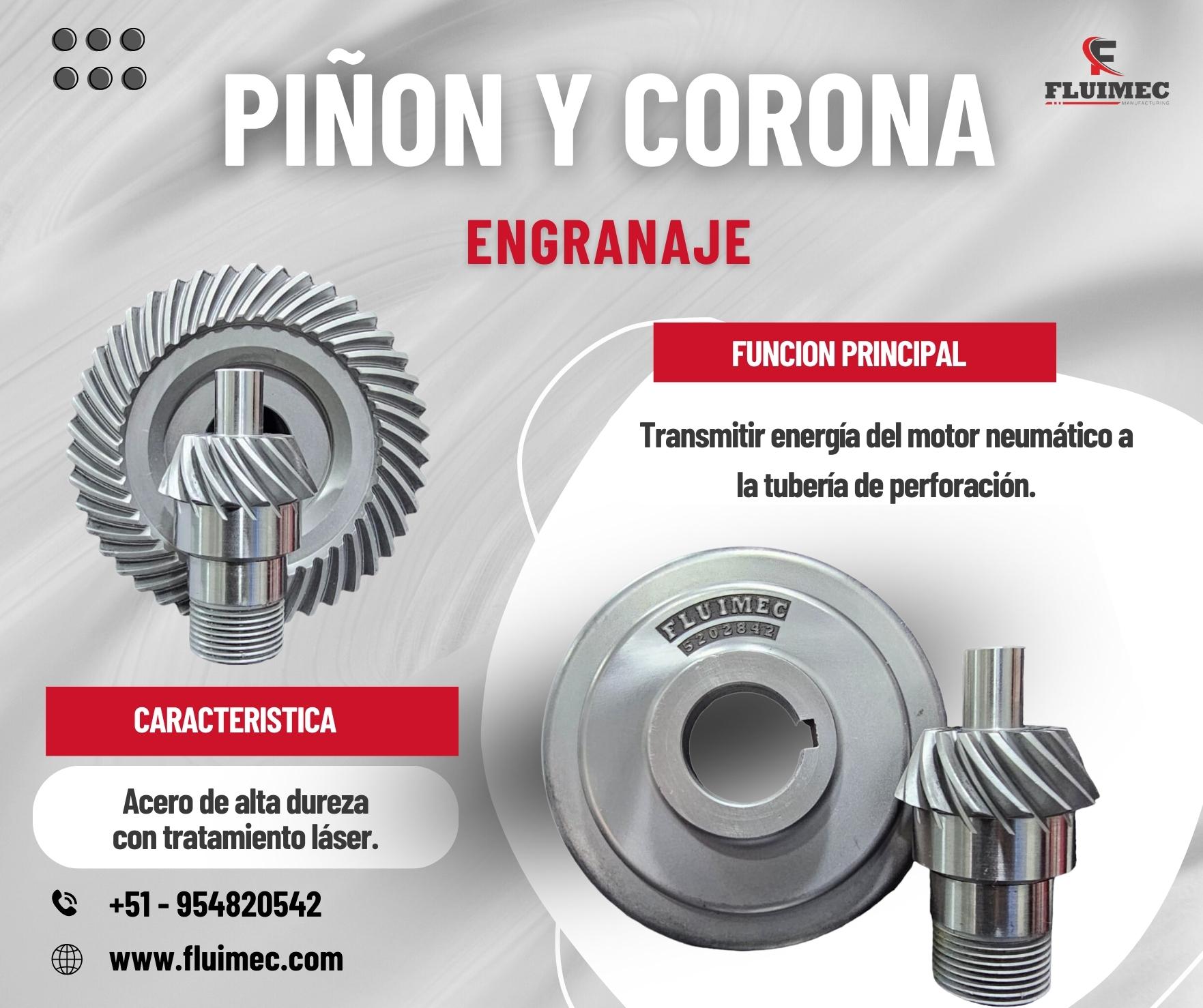 PIÑON CORONA EQUIPO PACKSACK 